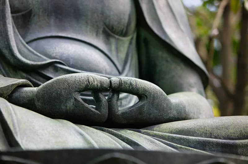 Intro to the Naturally Arising Practice Method: On-Demand Class Series + Optional Live Session with Phillip Moffitt
