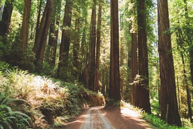 Discovering Your Hidden Demands: A Day of Recognition and Letting Go