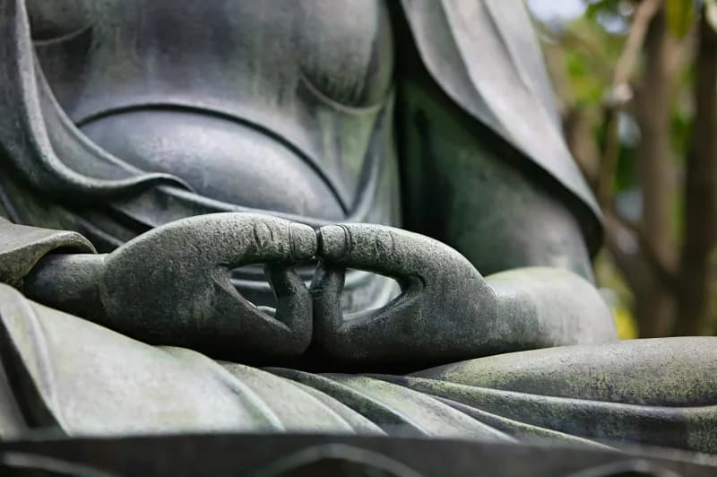 Intro to the Naturally Arising Practice Method: On-Demand Class Series + Optional Live Session with Phillip Moffitt